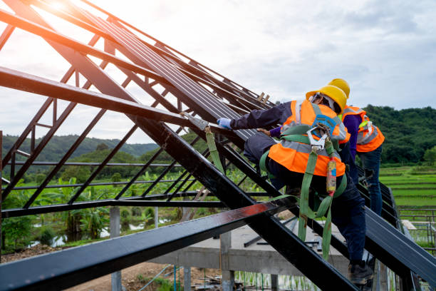 Best Roof Gutter Cleaning  in Shelby, OH